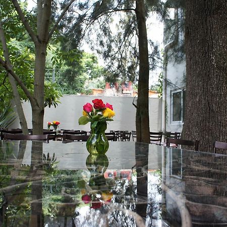 مبيت وإفطار Casa تيبوزتلان المظهر الخارجي الصورة